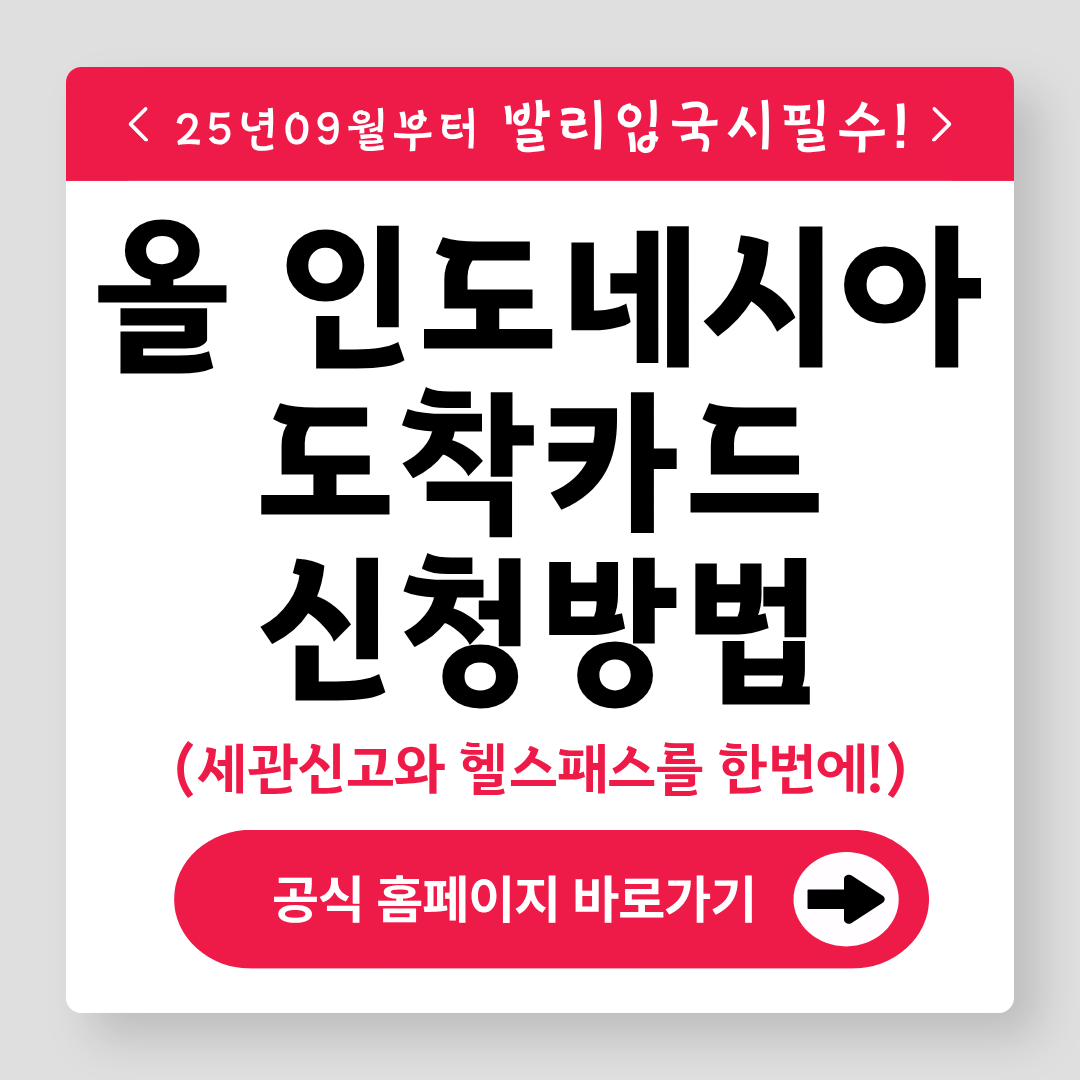 올 인도네시아 도착카드 신청 하기