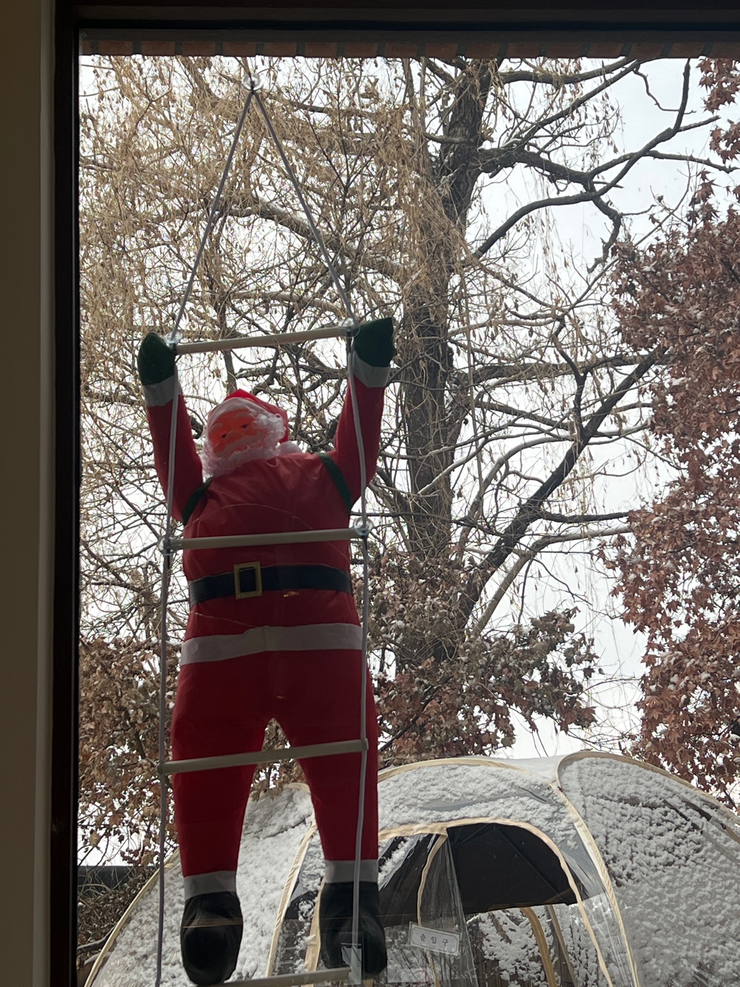 과천-연말-분위기좋은-조용한-카페