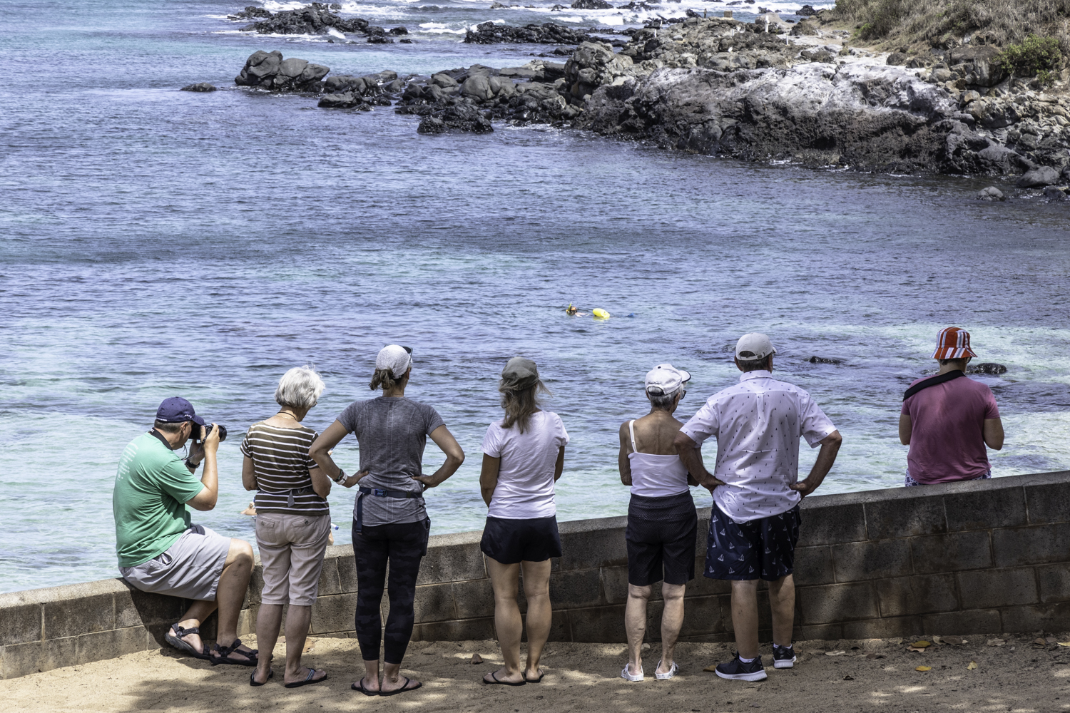 마우이 호오키파 비치 푸른 바다거북이 포인트