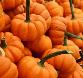 호박 효능과 부작용 고르는법 칼로리