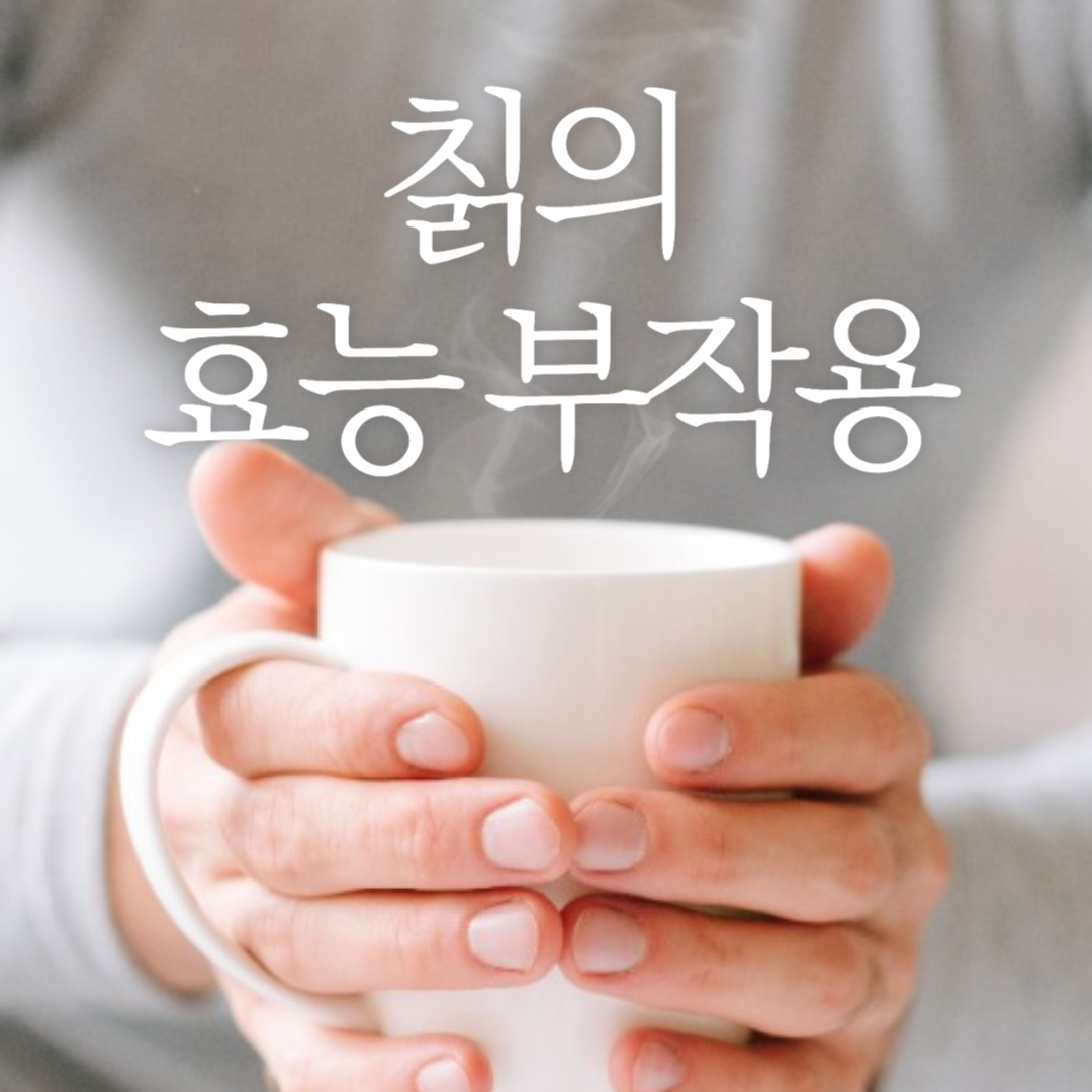 칡 효능 부작용