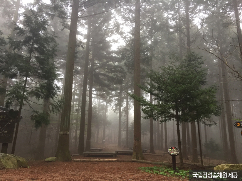장성 가볼만한곳 베스트10