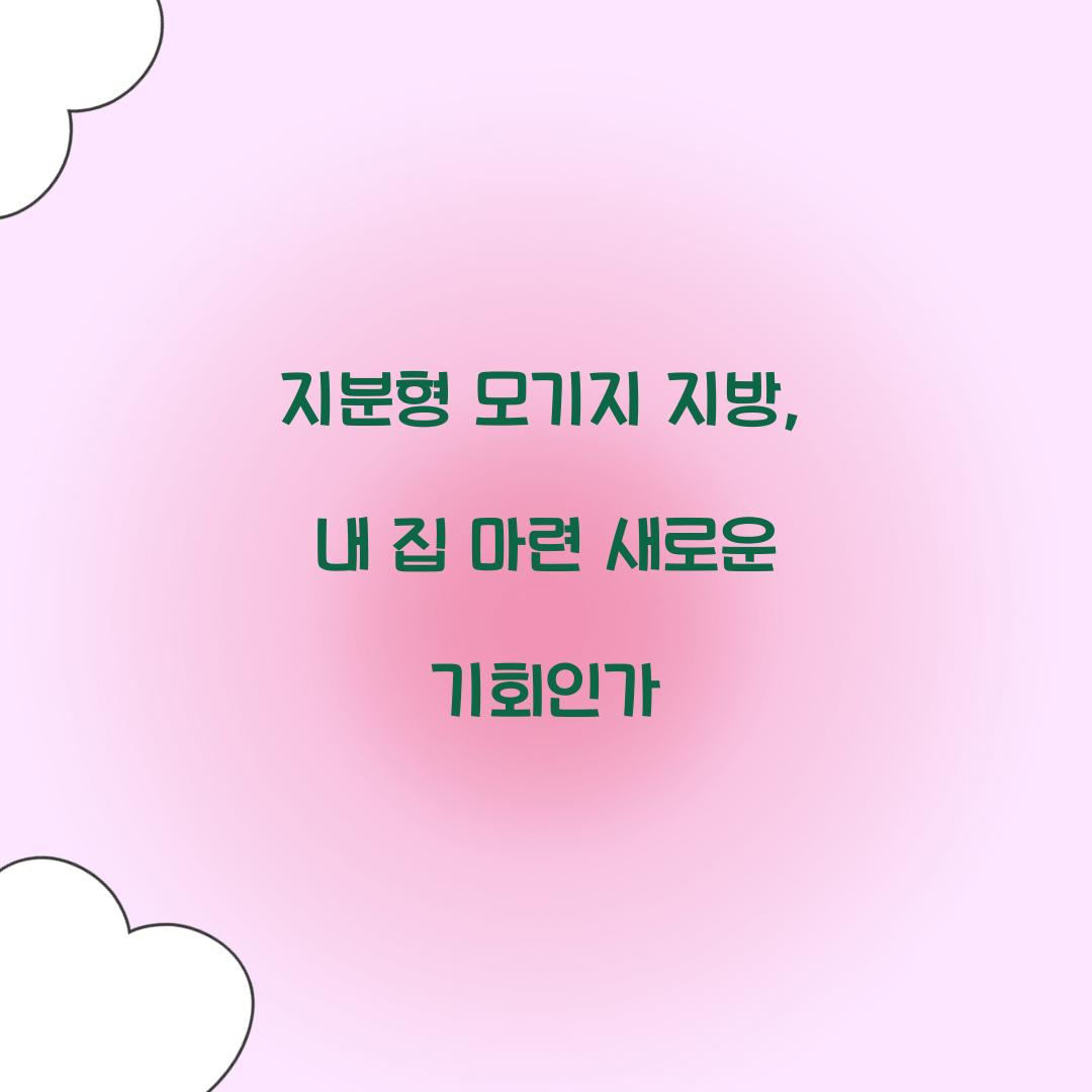 지분형 모기지 지방