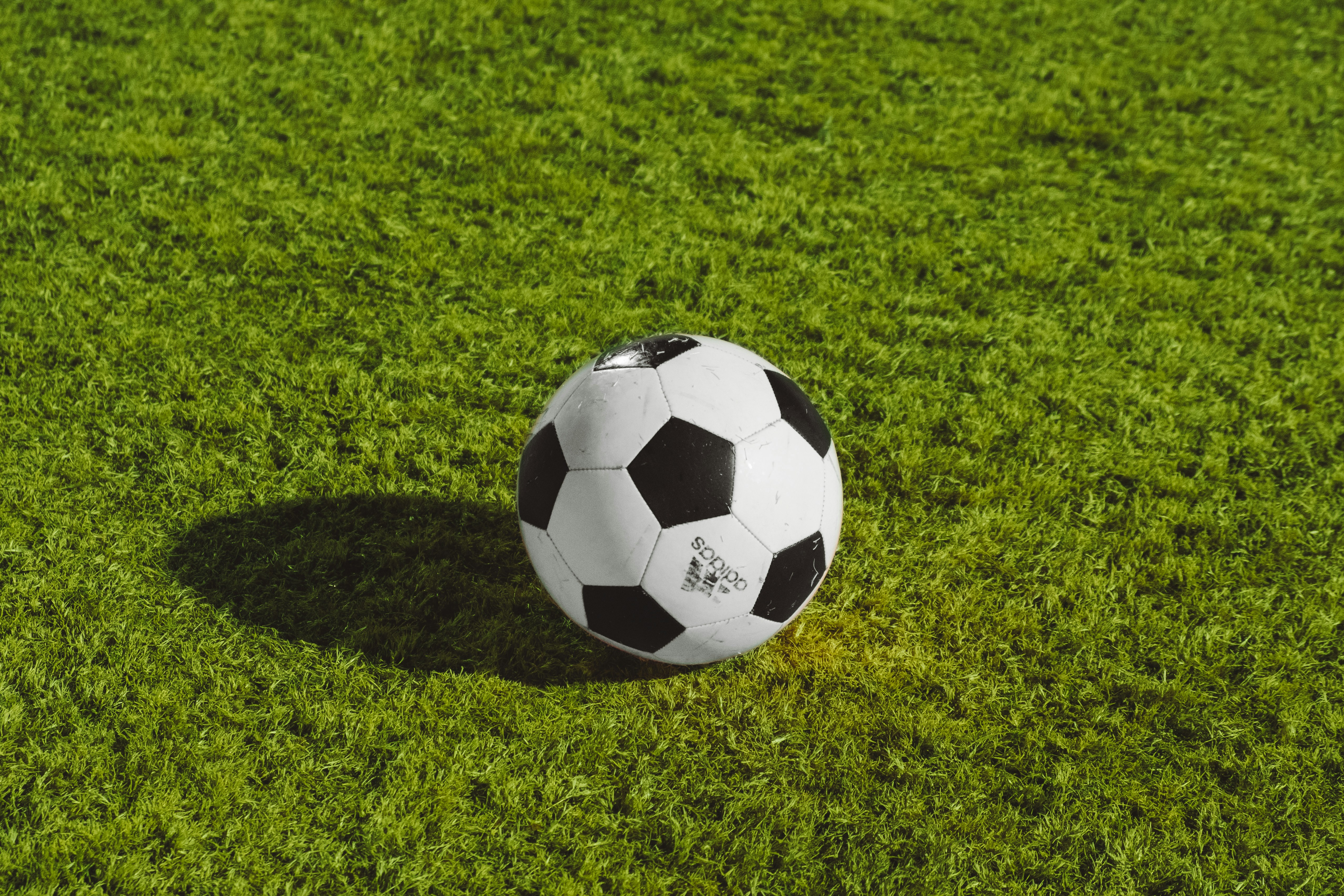 대한민국 오만 축구 무료중계