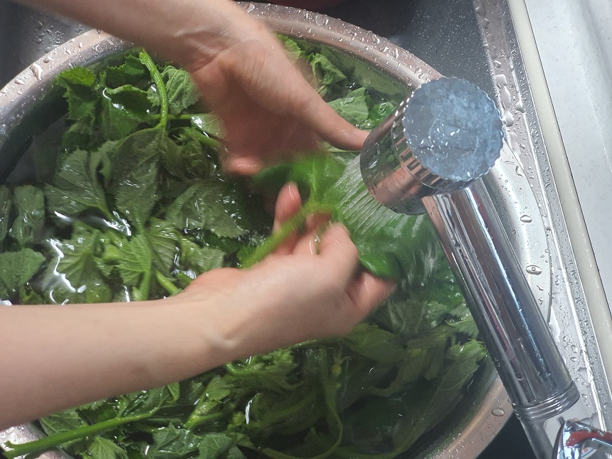 호박잎 찌기