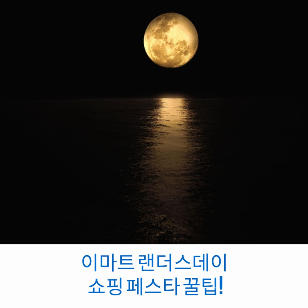 이마트-랜더스데이-쇼핑-페스타-꿀팁-썸네일