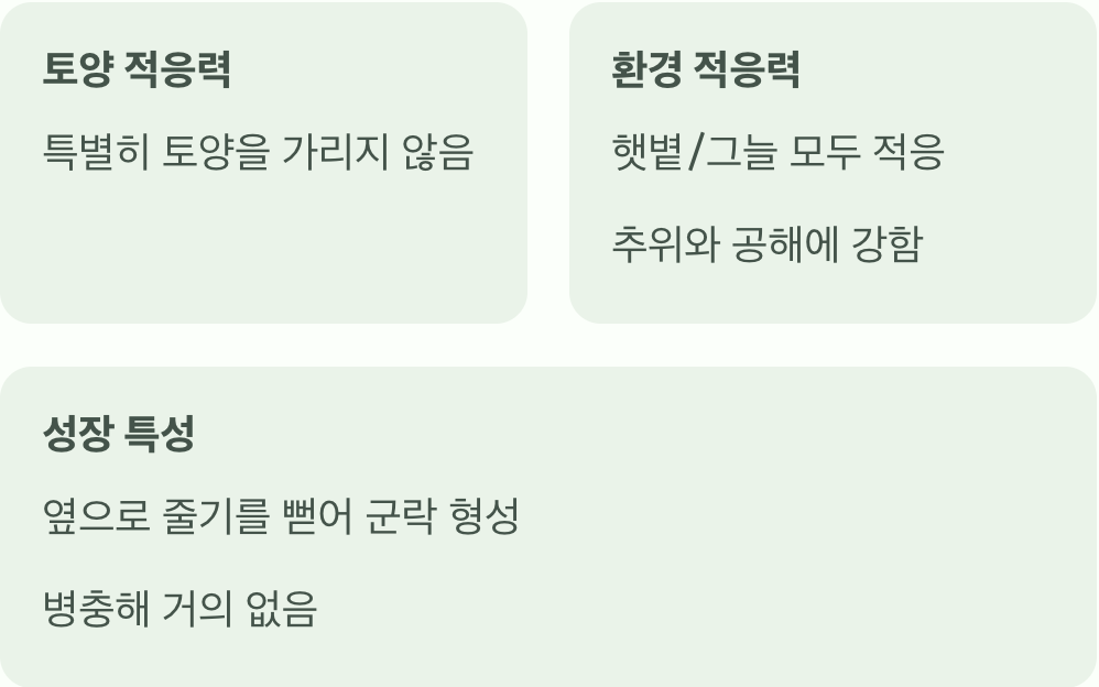 어디에 심든, '강인한 생명력'은 똑같아요