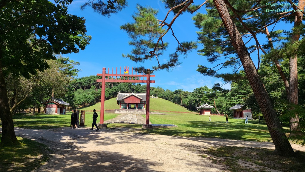 단풍지도