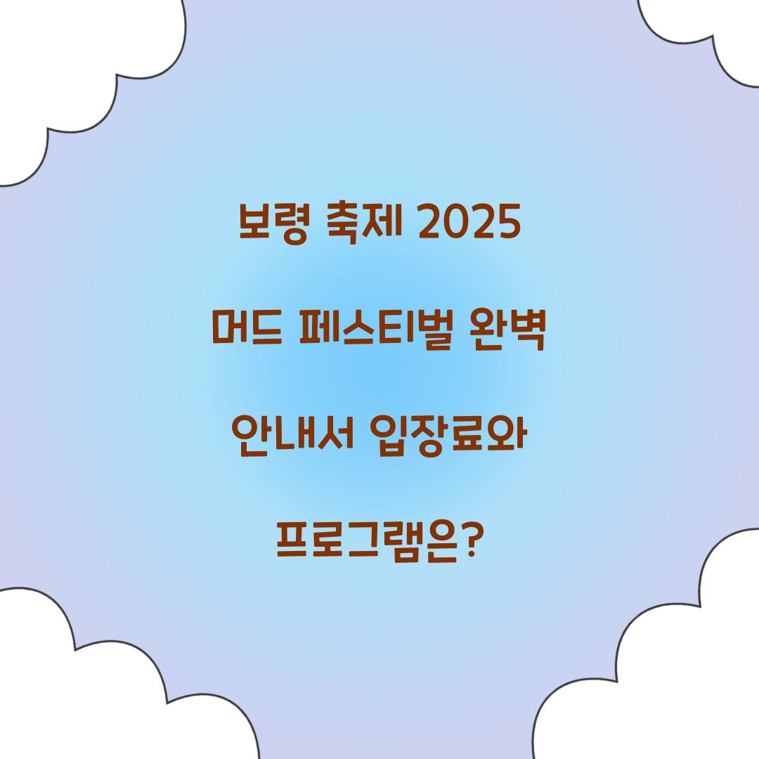보령 축제 2025 머드 페스티벌