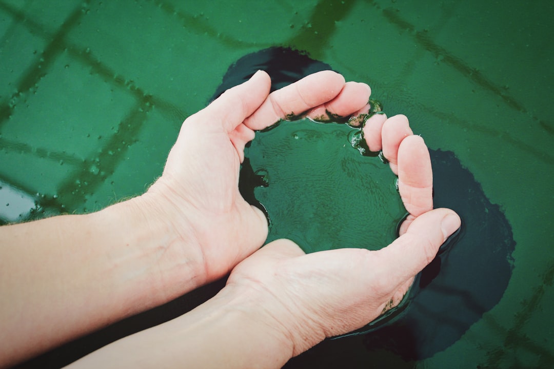 Spirulina