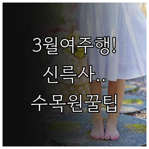 3월 여주 여행 신륵사 황학산수목원 ..
