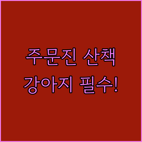 강릉 주문진 강아지 산책하기 좋은 구..