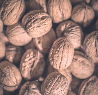 호두 효능과 부작용 하루섭취량 먹는방법 고르는법