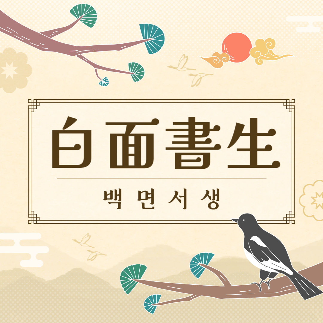 백면서생(白面書生) 뜻, 유래, 예문, 반대말, 유의어