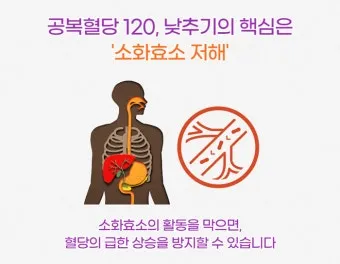 공복혈당 낮추는 방법에 대한 총정리 당뇨 건강관리_11