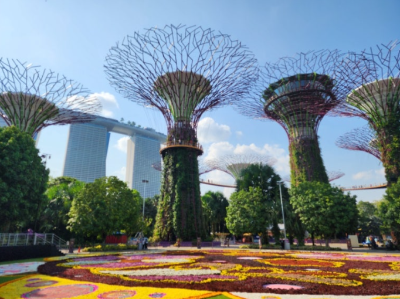 싱가포르 신혼여행