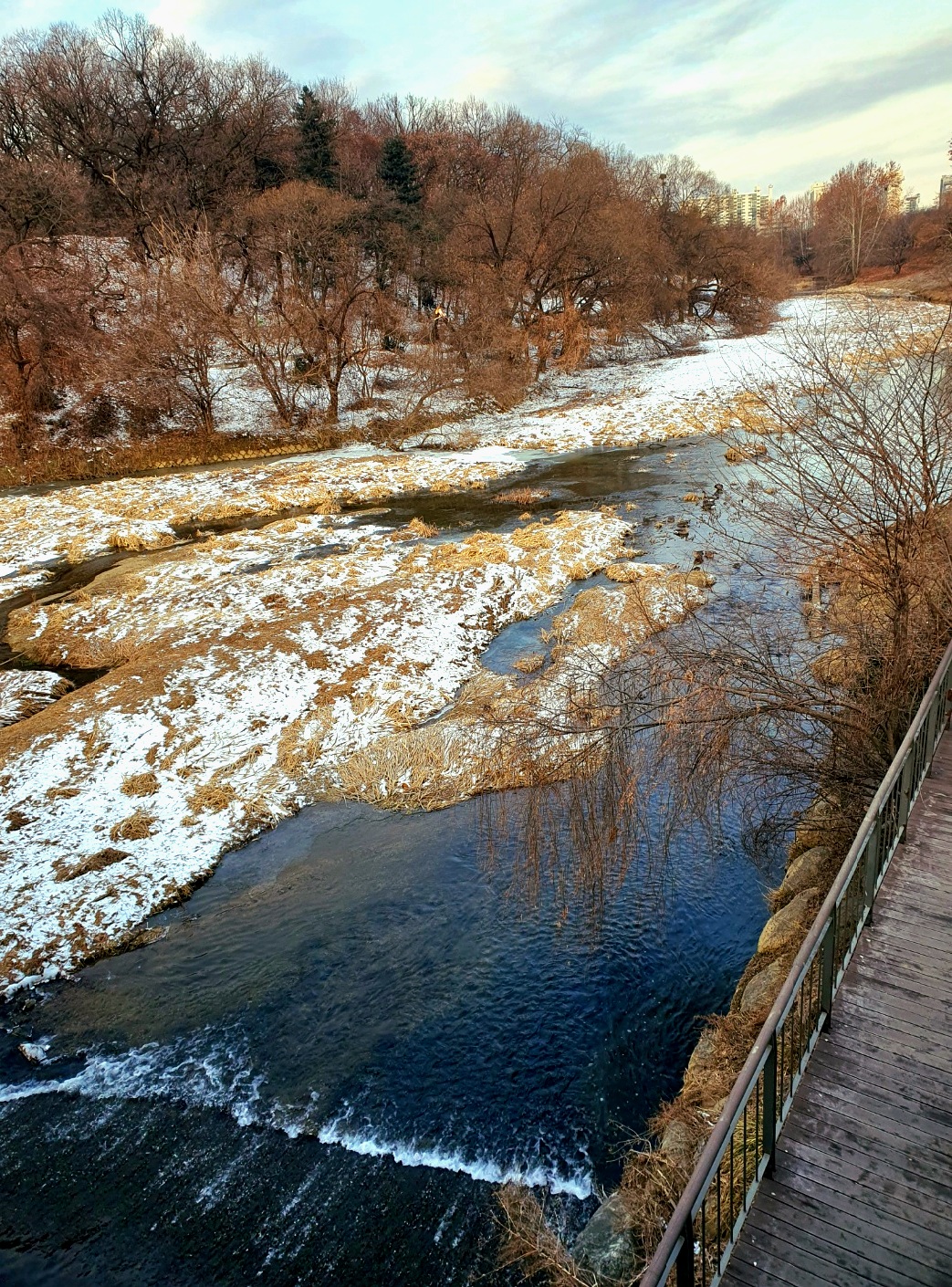 호수에-살얼음이-꼈습니다.