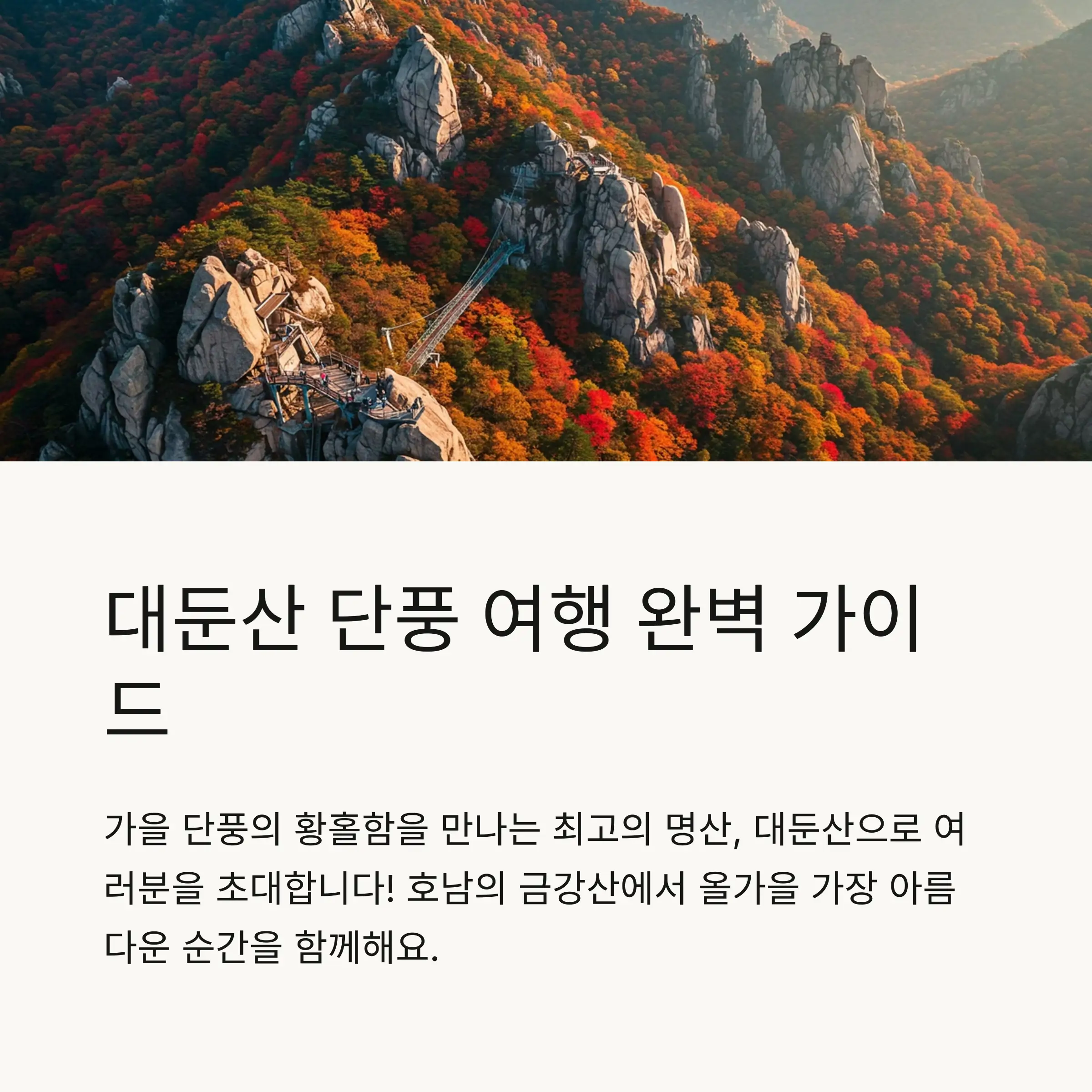 📋 목차