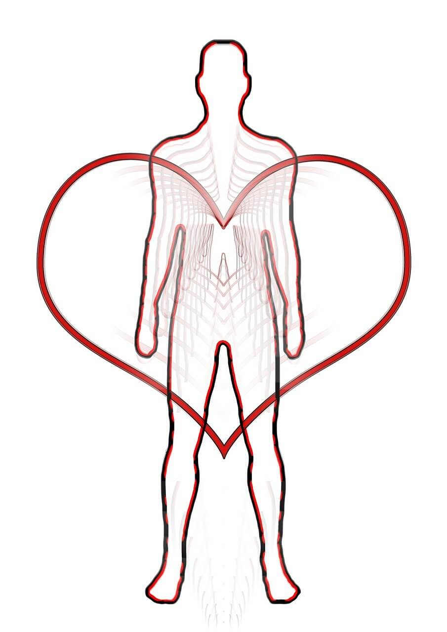 혈액순환에 좋은 영양제