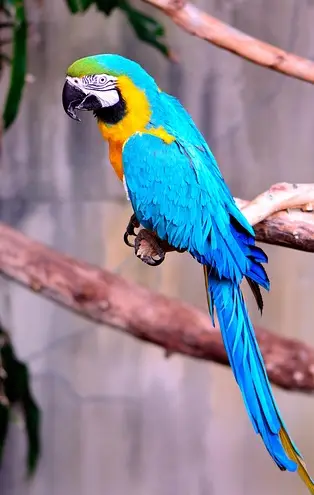 아빠 육아휴직 장려금 신청 방법