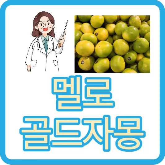 메로골드자몽 맛 멜로골드자몽 청자몽 효능 부작용 먹는법 가격 칼로리