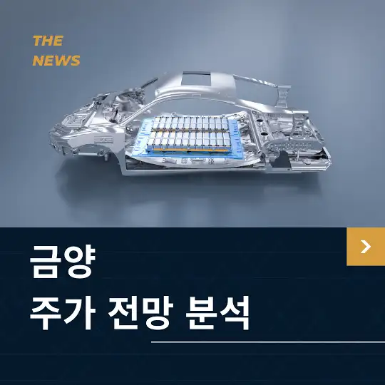 금양 주가 전망 및 분석