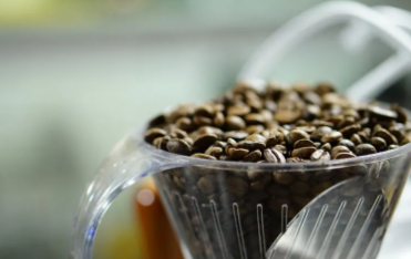 경춘선 공릉숲길 커피축제