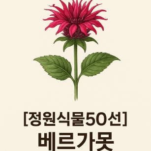 생태정원 필수식물 &lsquo;베르가못&rsquo;