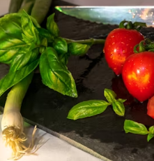 바질 효능 부작용 고르는법 요리 먹는 방법 허브