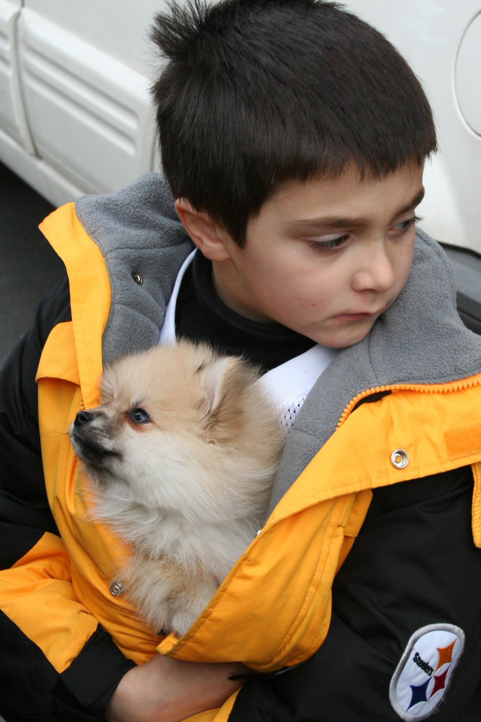 반려동물 재난 대피 관련 사진