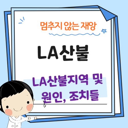 LA산불