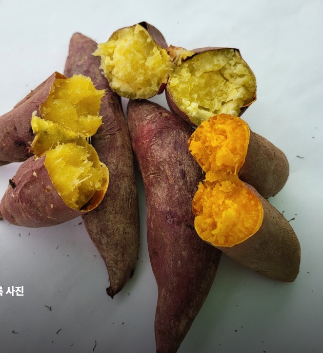 한국인의밥상-여주-고구마-줄기-땅콩-영자씨네농원