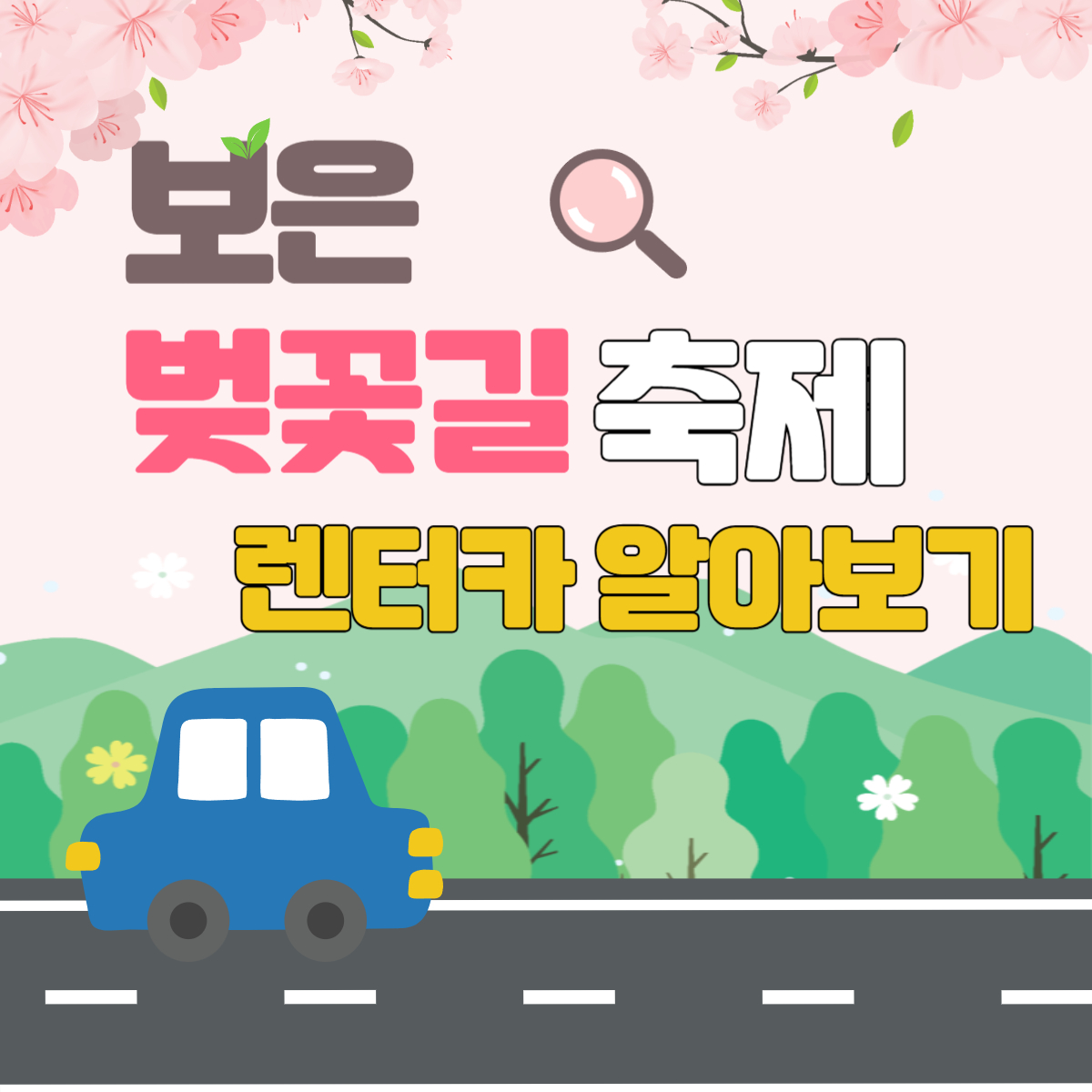 보은 벚꽃길 축제 렌터카
