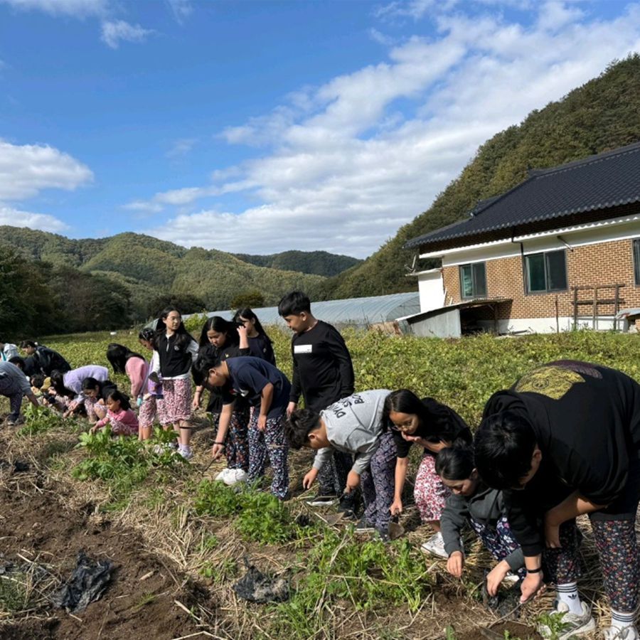 큰삼촌농촌체험