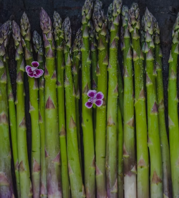 아스파라거스 효능 사랑받는 6가지 고르는법 부작용