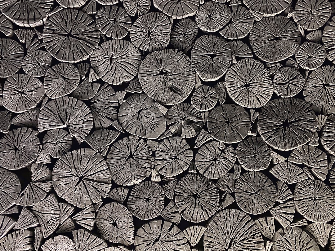 Charcoal