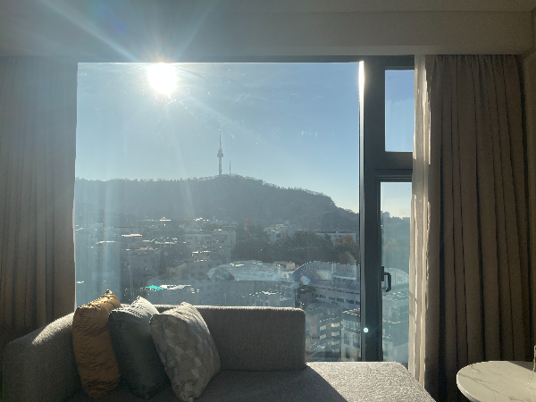 엠버서더 서울 풀만 남산뷰