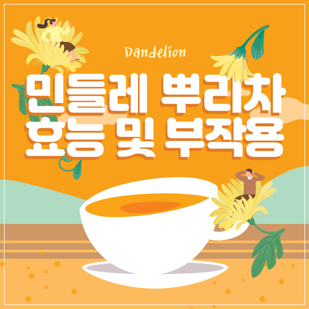 민들레뿌리차 효능 및 부작용 ❘ 민들레 뿌리차 만드는 법 썸네일
