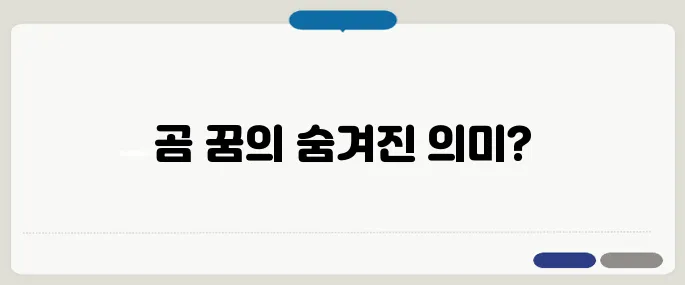 곰 꿈 해몽