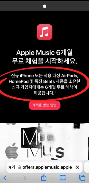 애플뮤직 Apple Music 6개월 무료