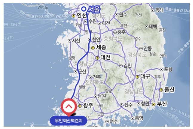 회산백련지-무안연꽃축제