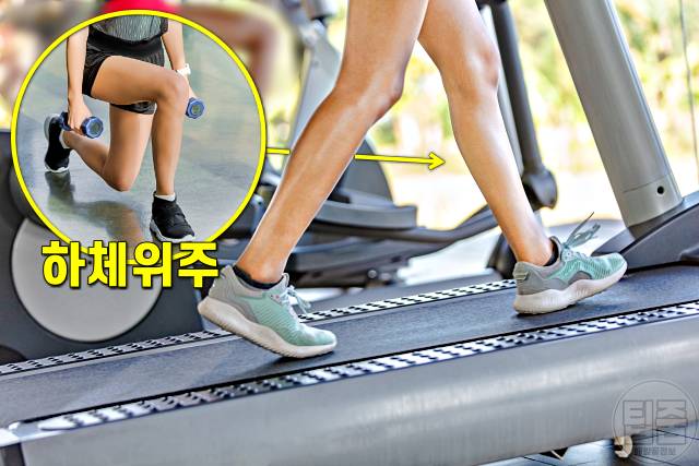 과식 후 운동 골든타임 점심,유산소,근력,급하게 찐 살빼기