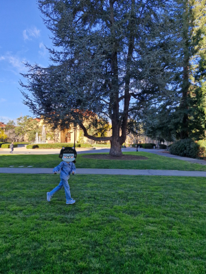 스탠포드대학교 캠퍼스풍경