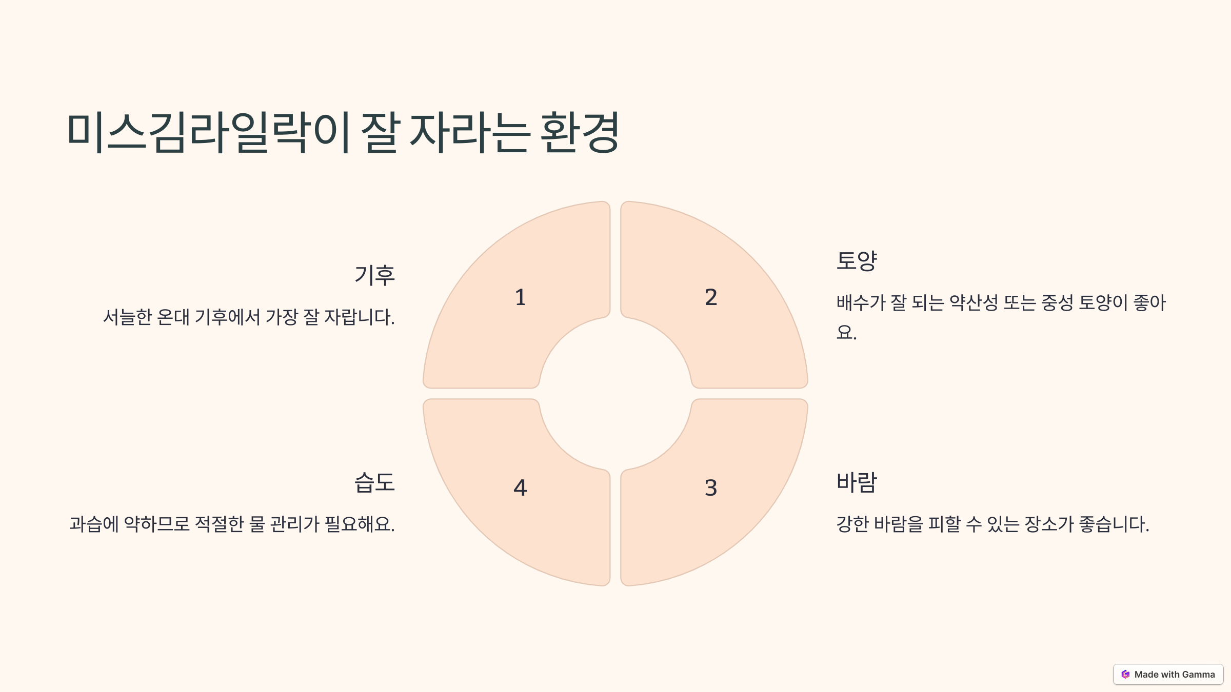 미스김 라일락 사진