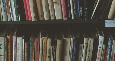 먼지다듬이 벌레