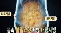 내장지방