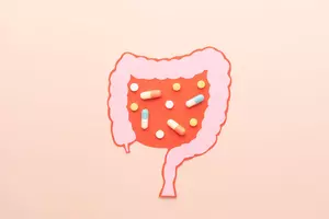 유산균-먹는시간