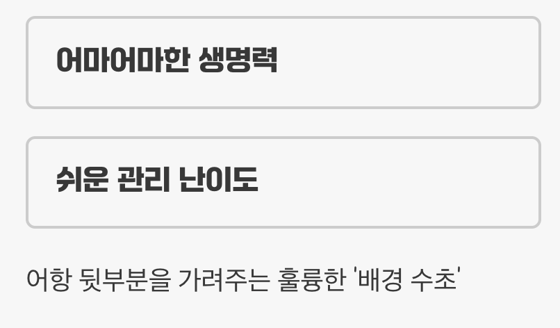 초보자의 희망, 살아있는 배경화면
