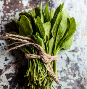 골다공증에 좋은 음식 영양제 식단