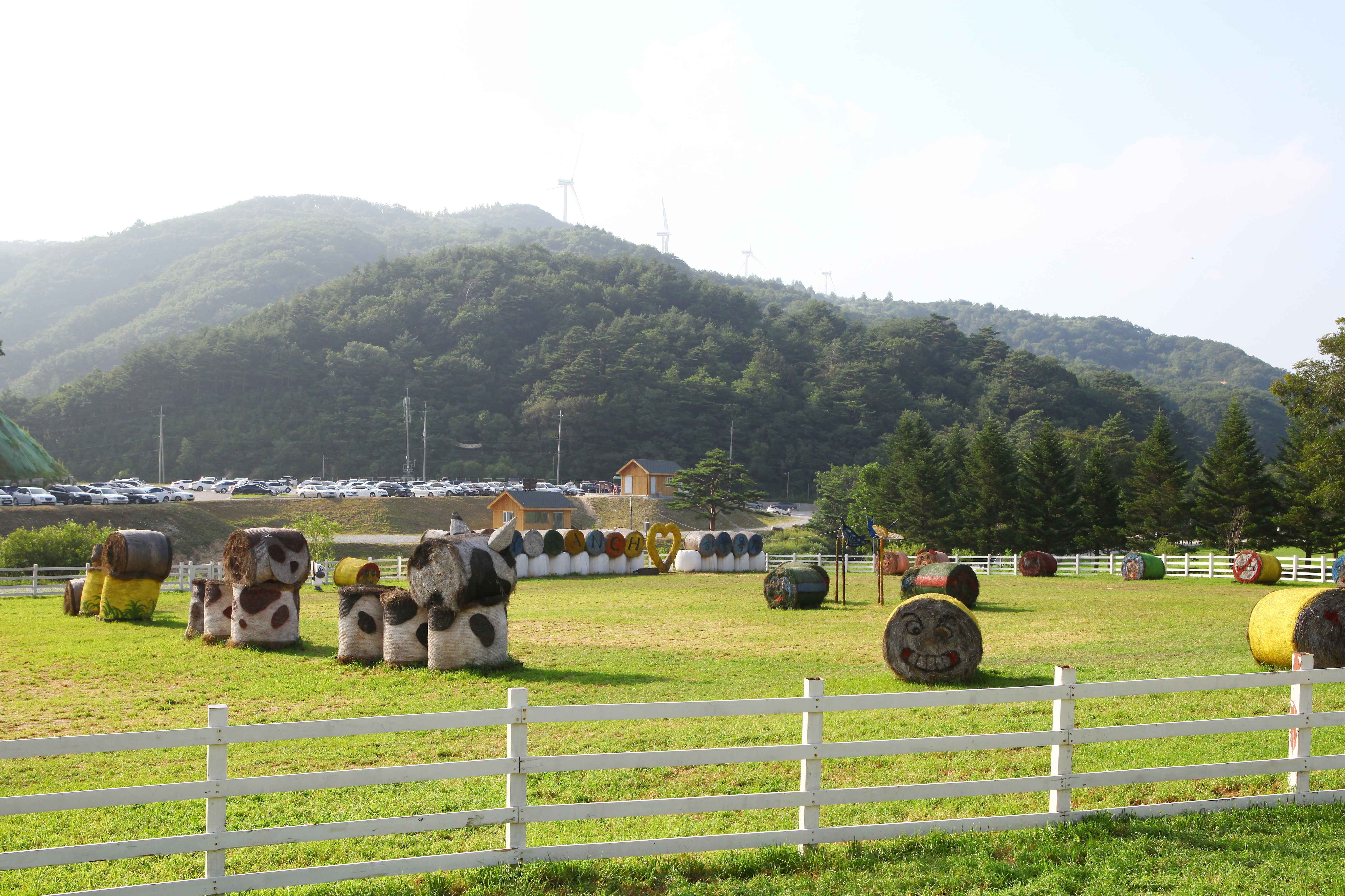대관령 하늘목장 사진